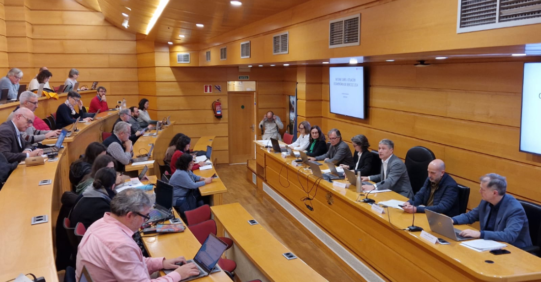 Imaxe da reunión do Consello da UDC