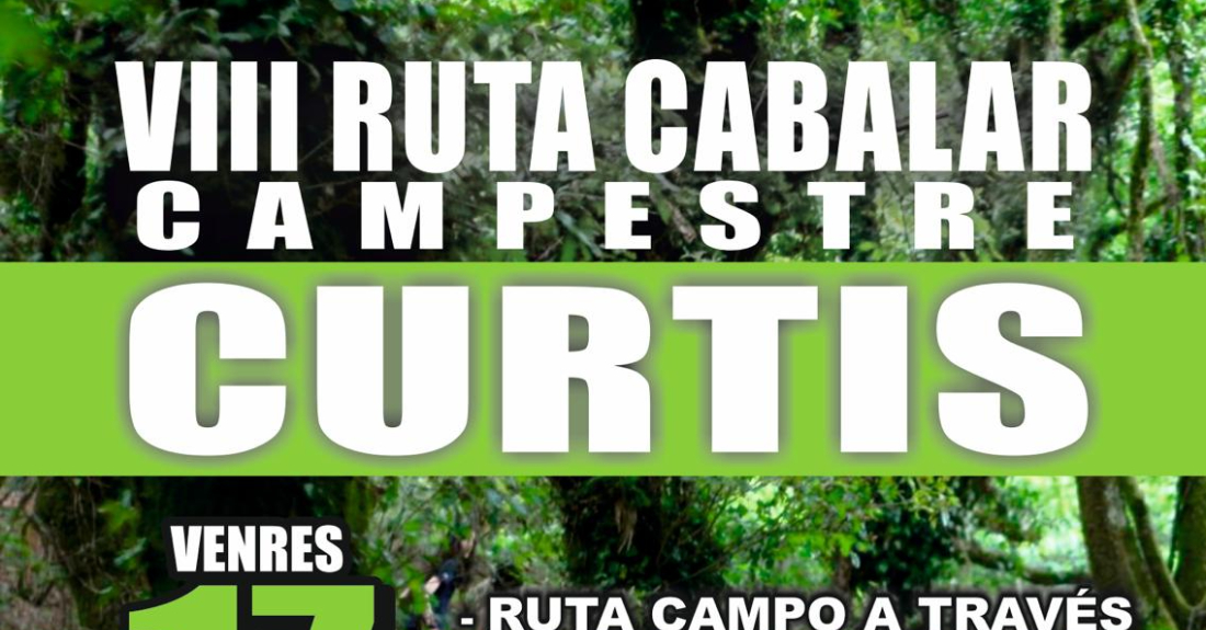 Imaxe do cartel da VIII Ruta Cabalar de Curtis