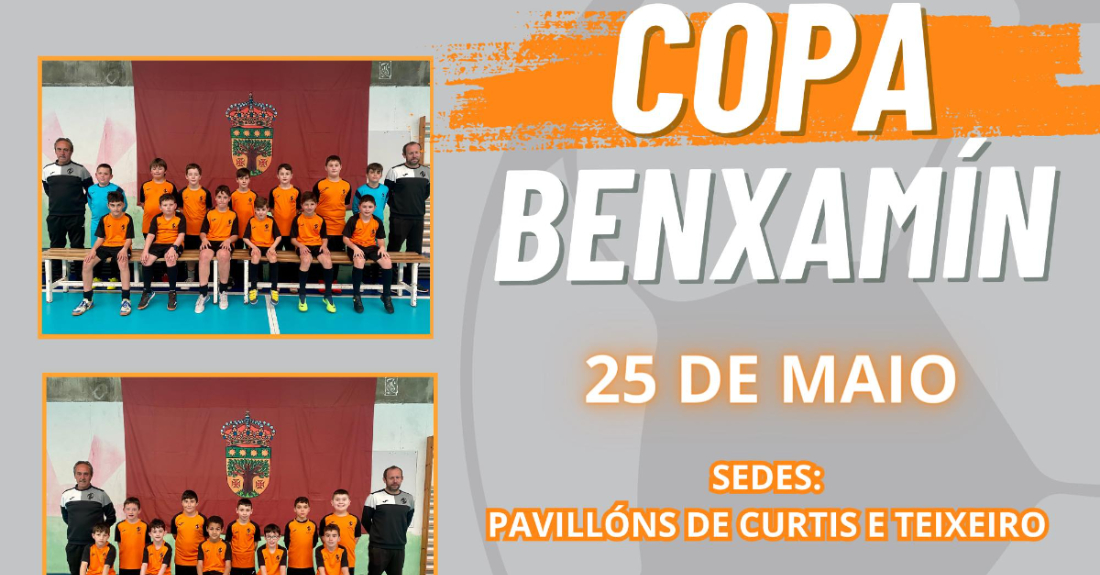 Imaxe do cartel da Copa Benxamín en Curtis e Teixeiro