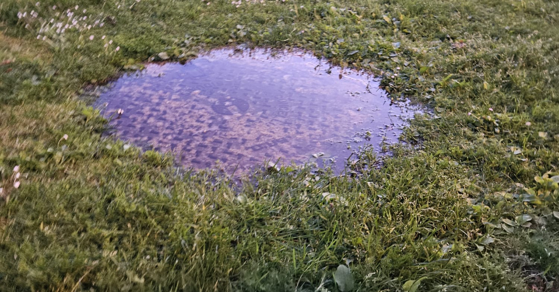 Imaxe dunha alcantarilla no parque de Perillo