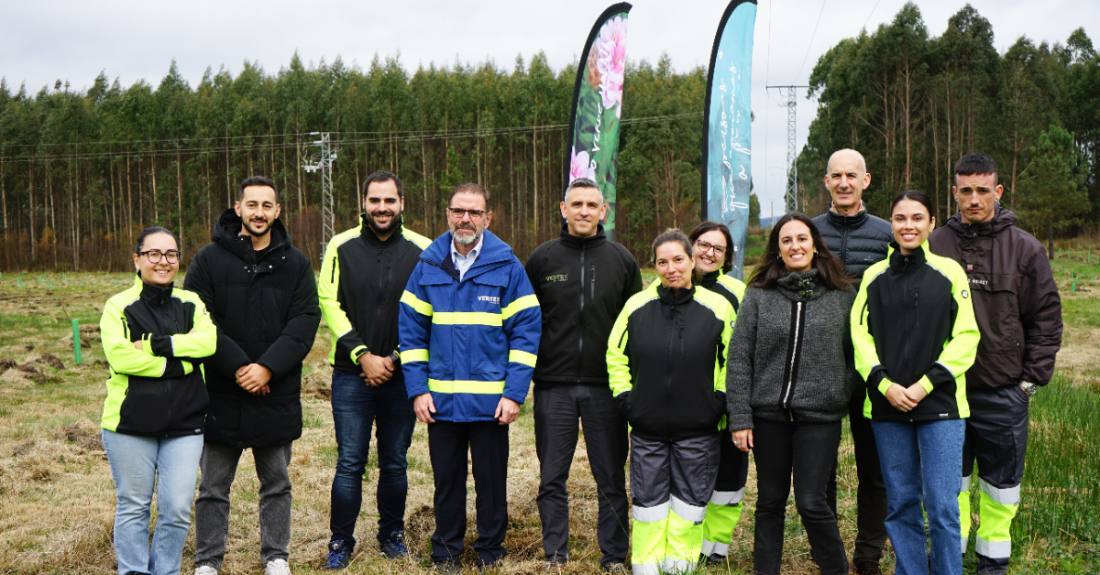 Bosque Bosque Vertex Bioenergy en Curtis