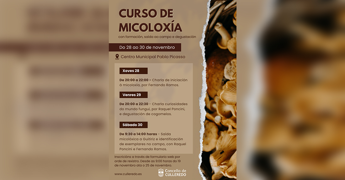 MICOLOXIA CULLEREDO CURSO