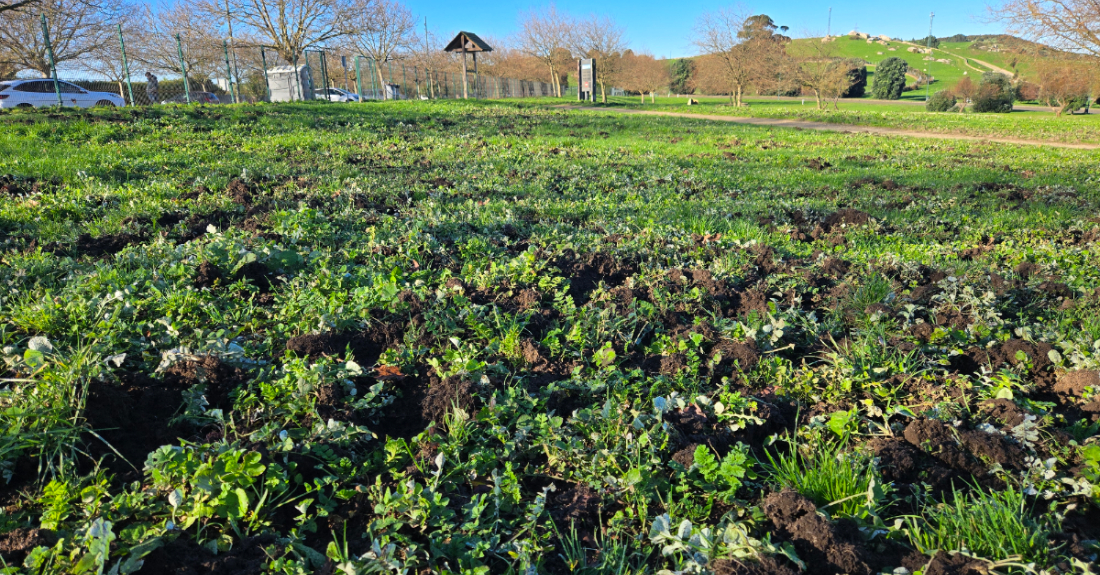 Xabaríns parque de Bens Coruña