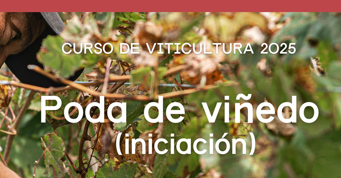 Viticultura-2025---Curso-de-poda-de-viñedo-(iniciación)---Fundacion-Juana-de-Vega---CFEA-Guisamo-1