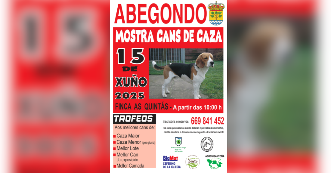 cans-caza-abegondo