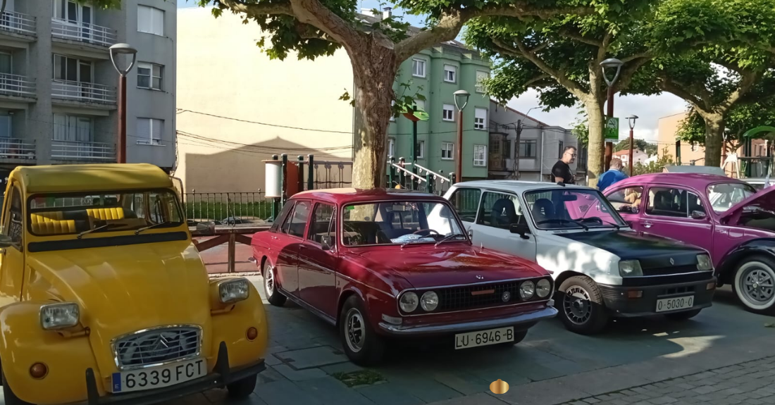 coches clásicos-carral