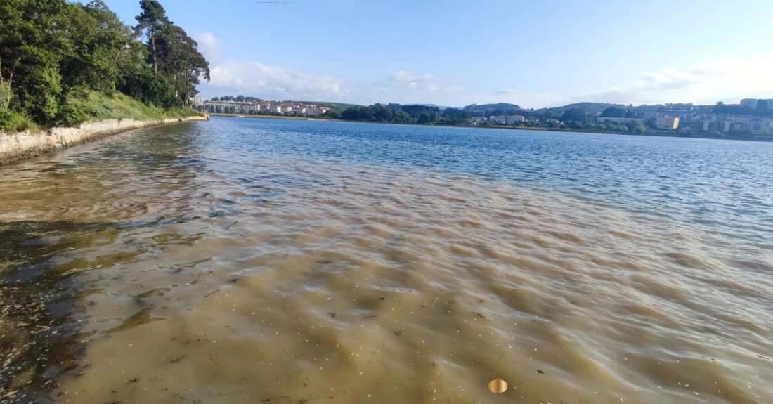 pp-oleiros