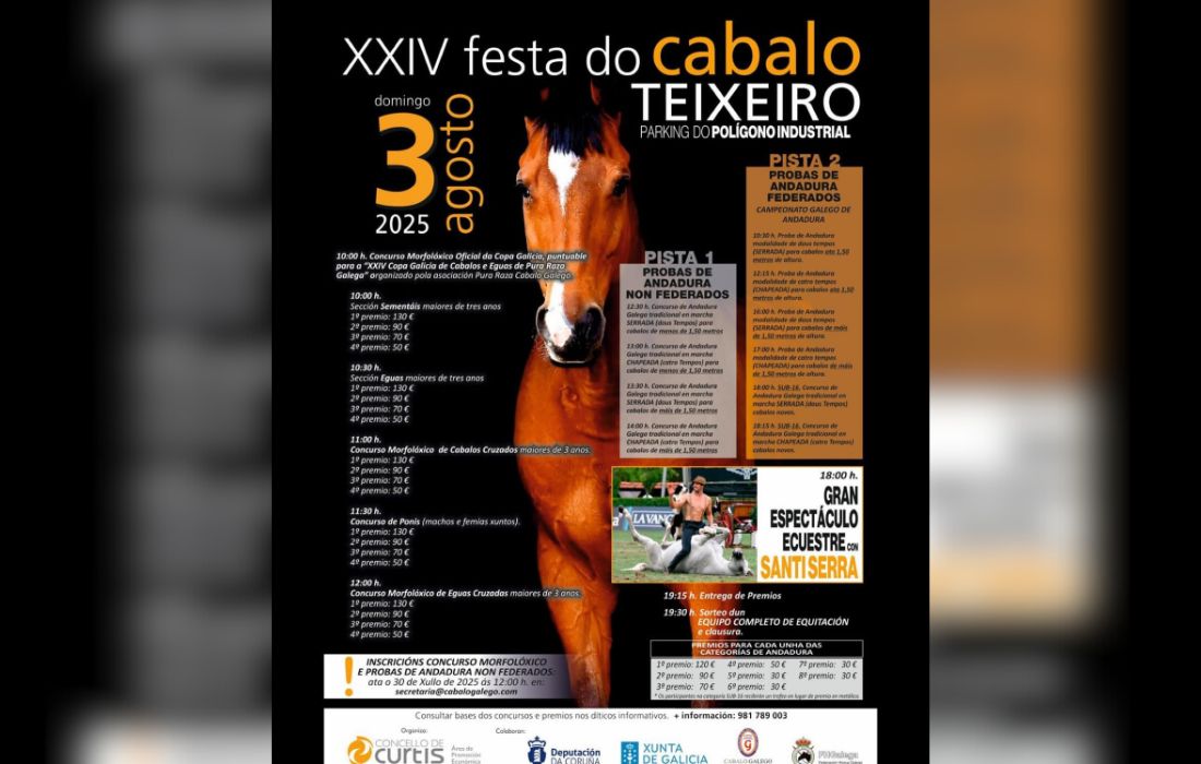 cabalos-teixeiro