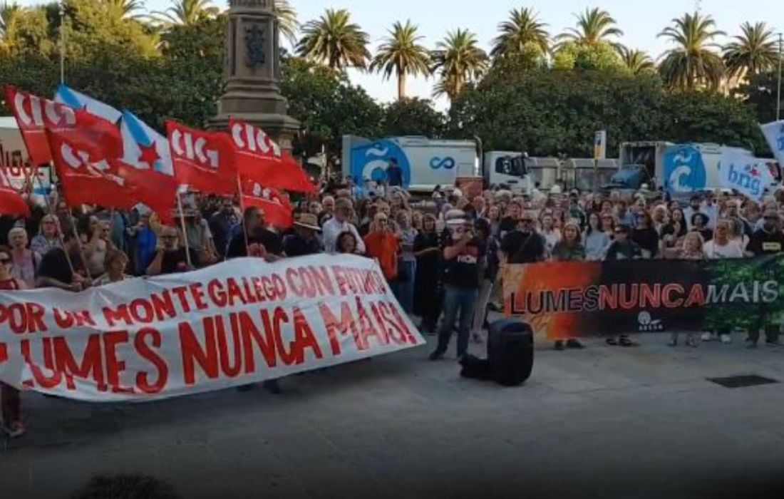 A CORUÑA manifestacion lumes