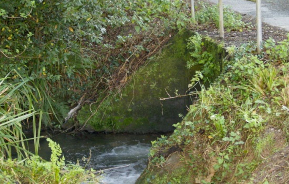 BERGONDO lubre rio maior