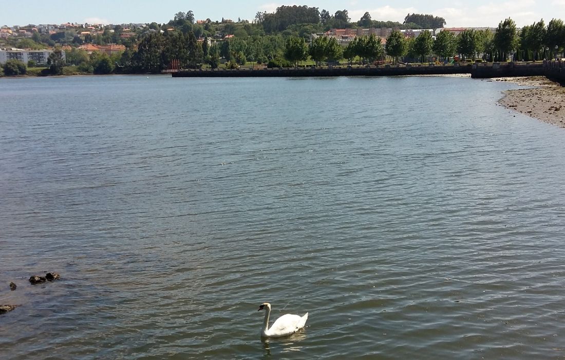 CULLEREDO ria do burgo