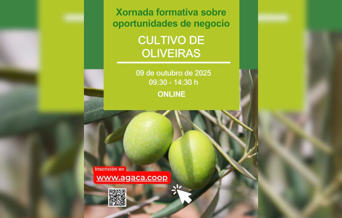 CURTIS cultiva oliveiras