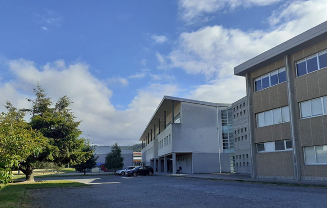 ARTEIXO colegio manuel murguia