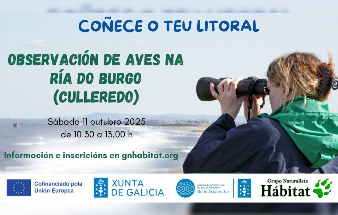 CULLEREDO taller observación aves