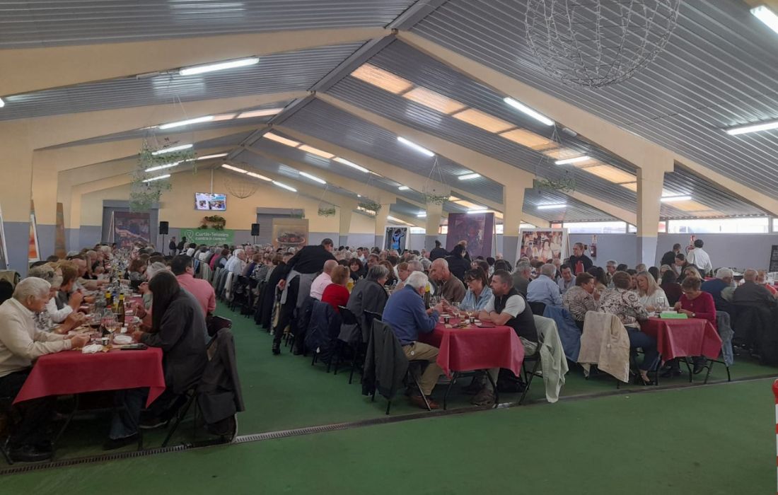 CURTIS comida solidaria AECC