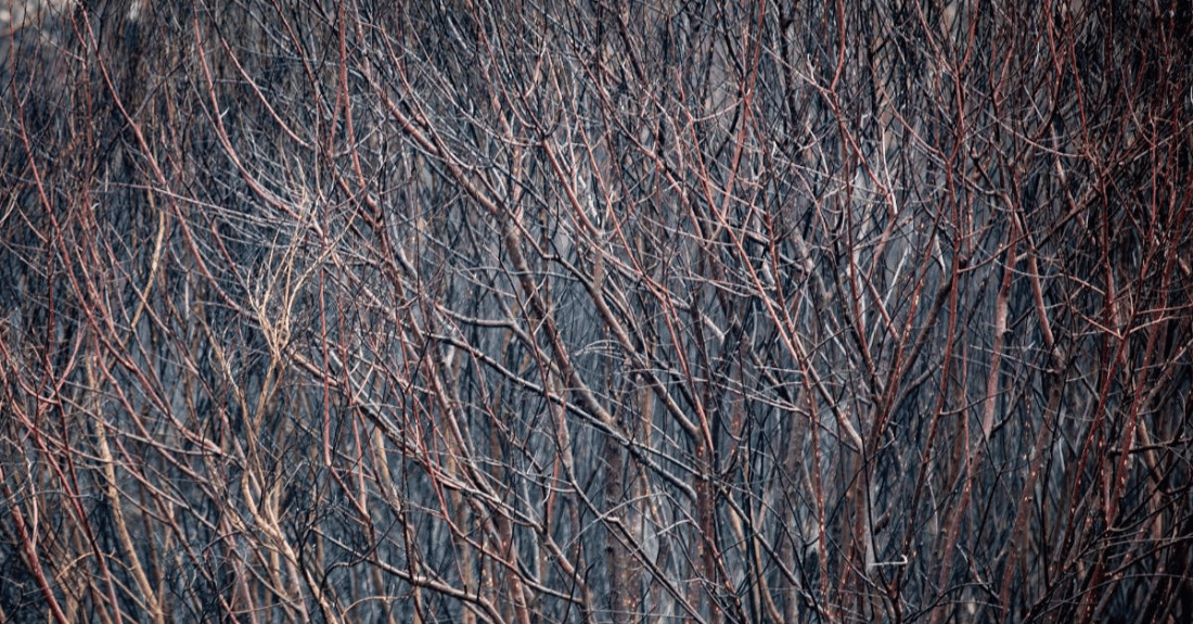 Incendios