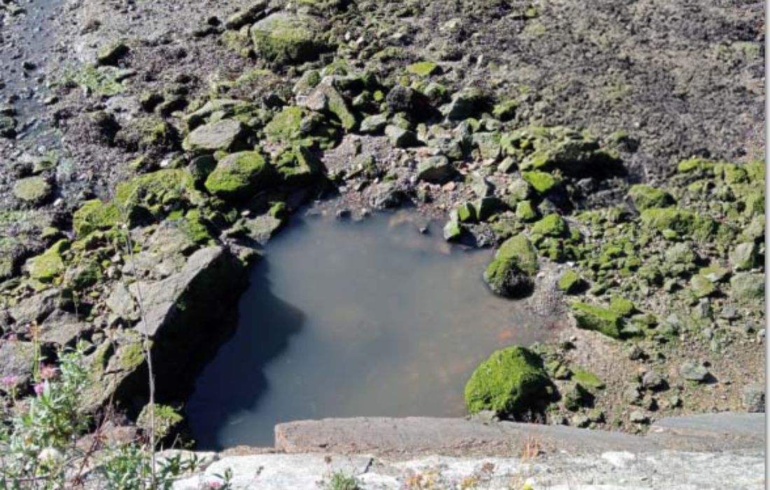 OLEIROS vertido burgo