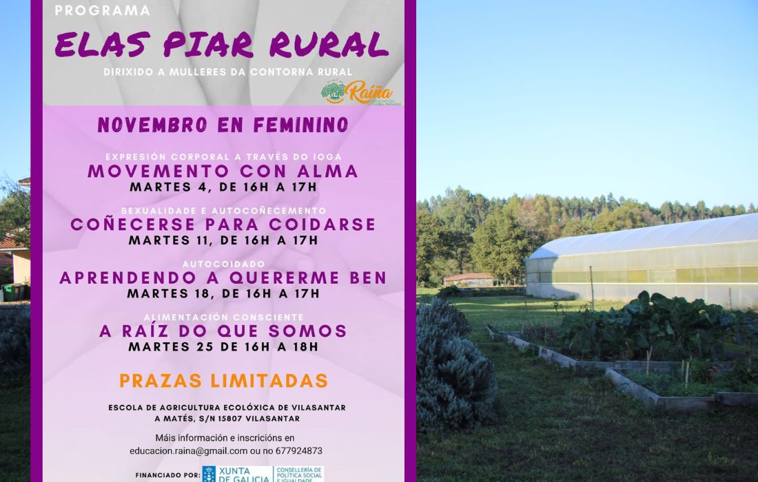 VILASANTAR programacion raiña