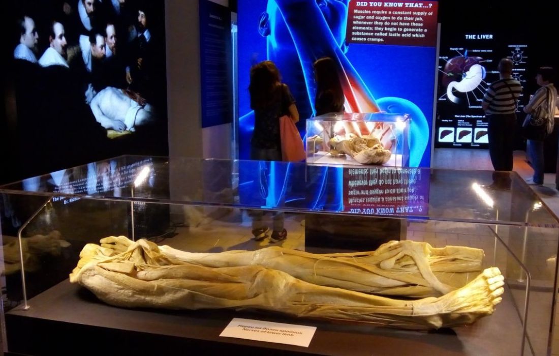 A CORUÑA bodyevolution marineda