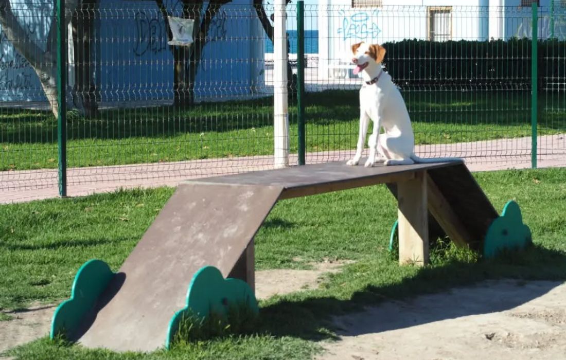 ARTEIXO parque canino