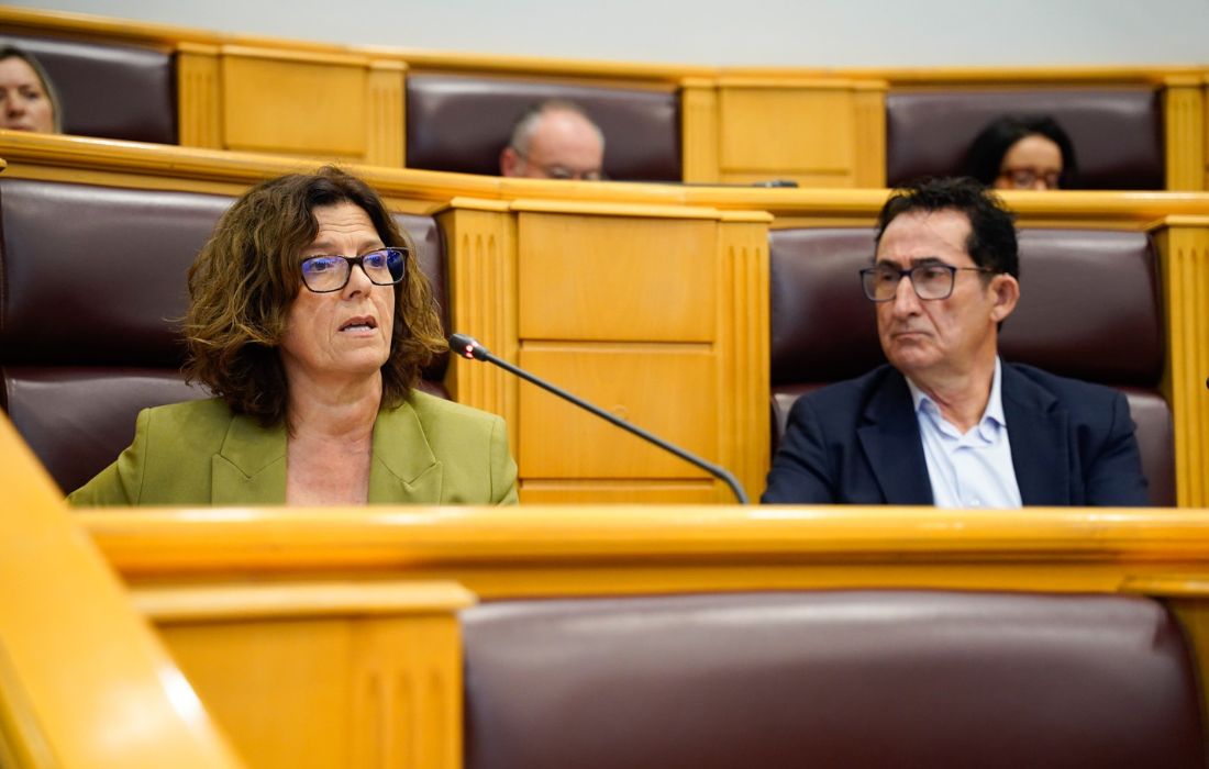 DEPUTACION parlamento