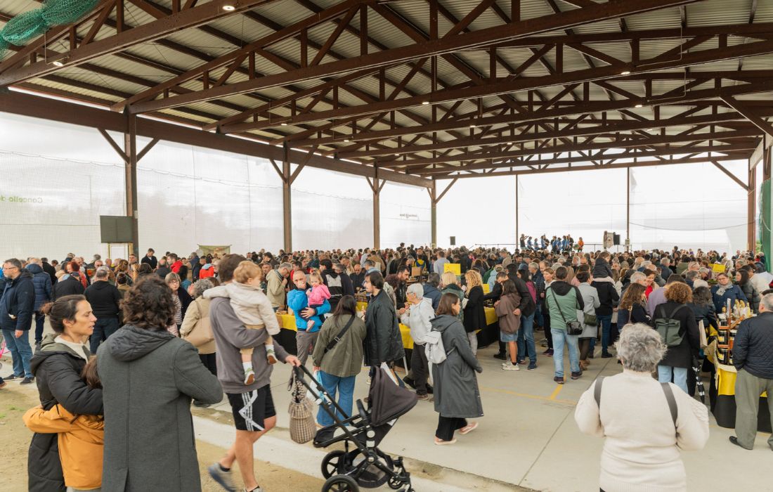 OLEIROS feira do mel