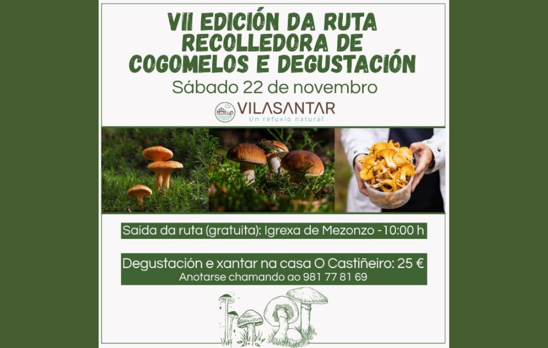 VILASANTAR cogomelos