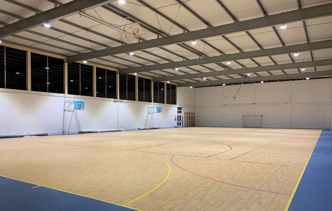 CARRAL luces pabellon o espiño