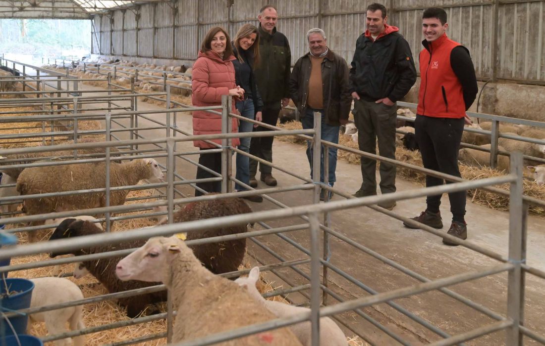 CARRAL xunta axudas gando