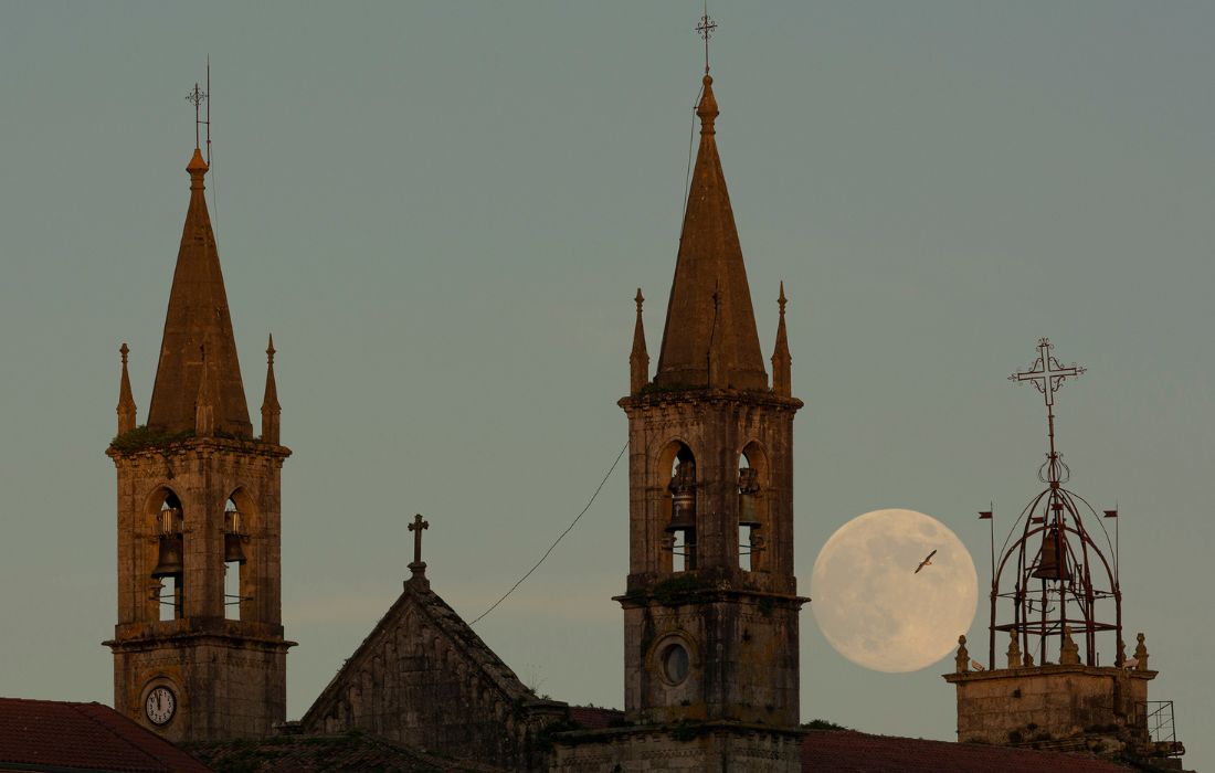 CONSORCIO gañadora concurso