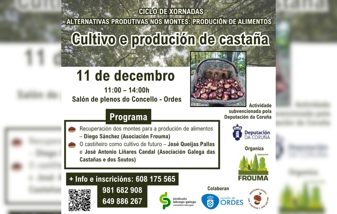 ORDES cultivo castaña
