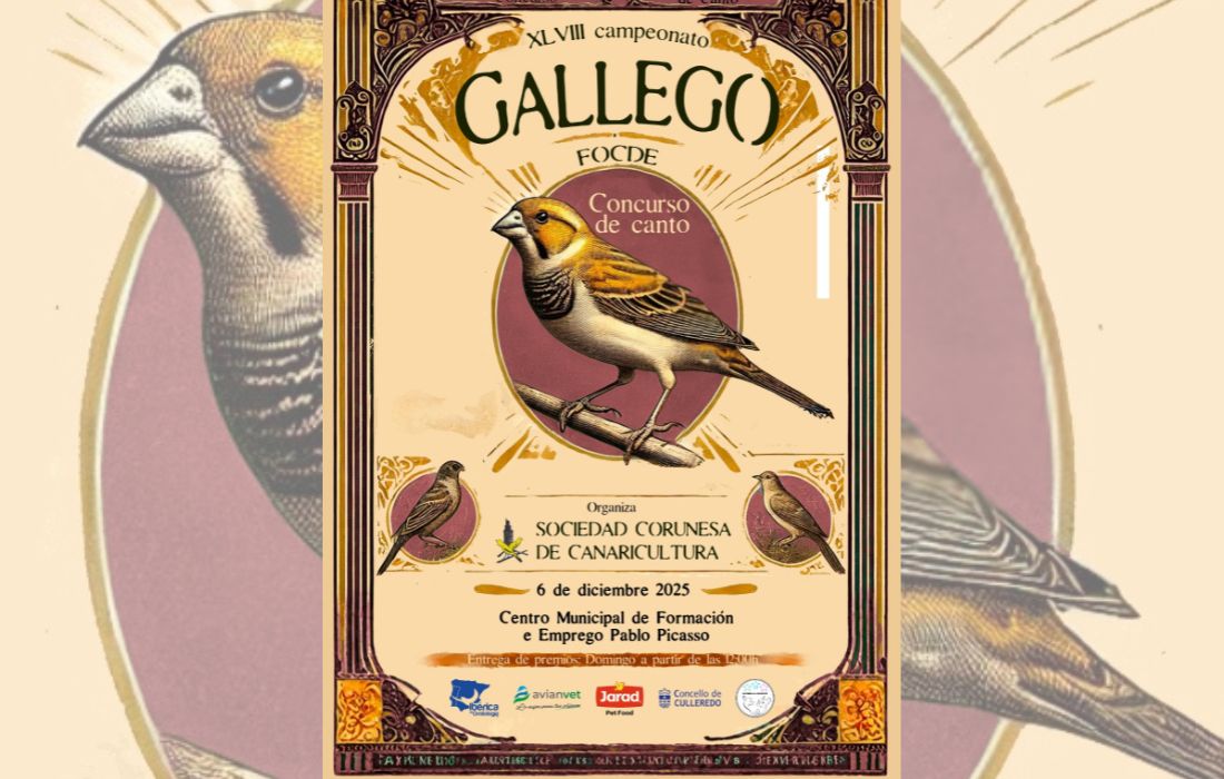 culleredo-canto-de-canarios