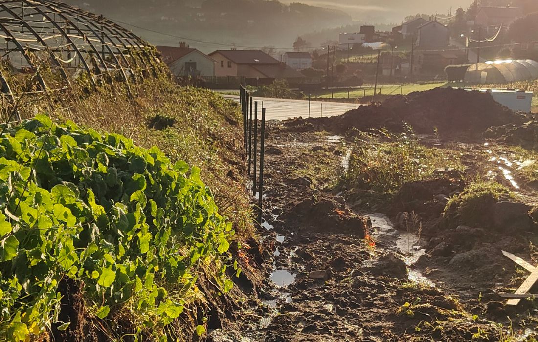 ARTEIXO obras alternativa enxebre