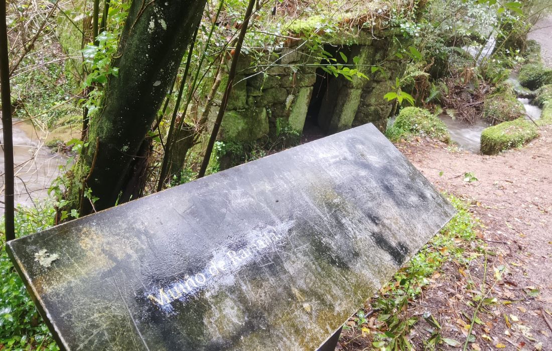 CULLEREDO rego das xesteiras