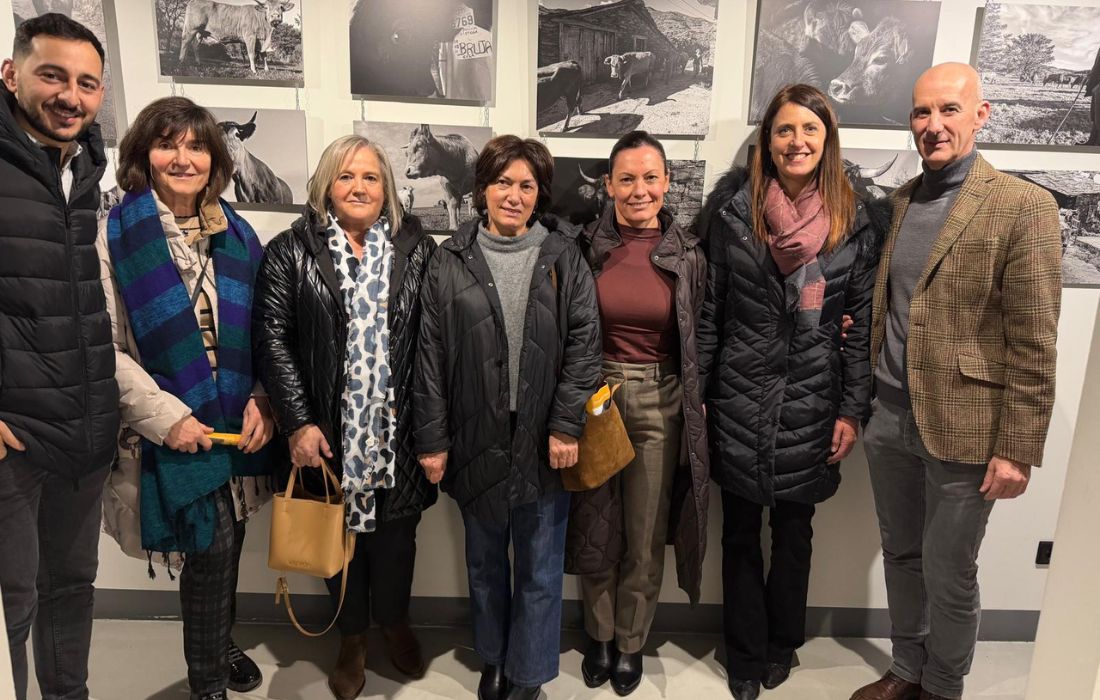 CURTIS expo de vacas