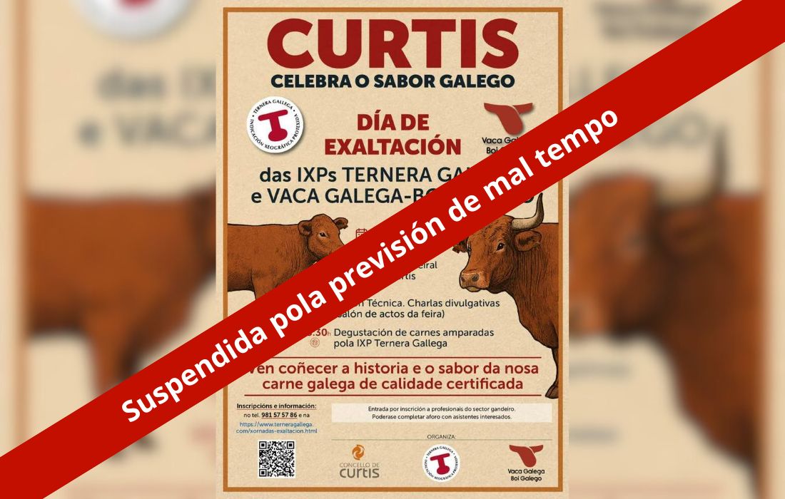 CURTIS suspede exaltacion