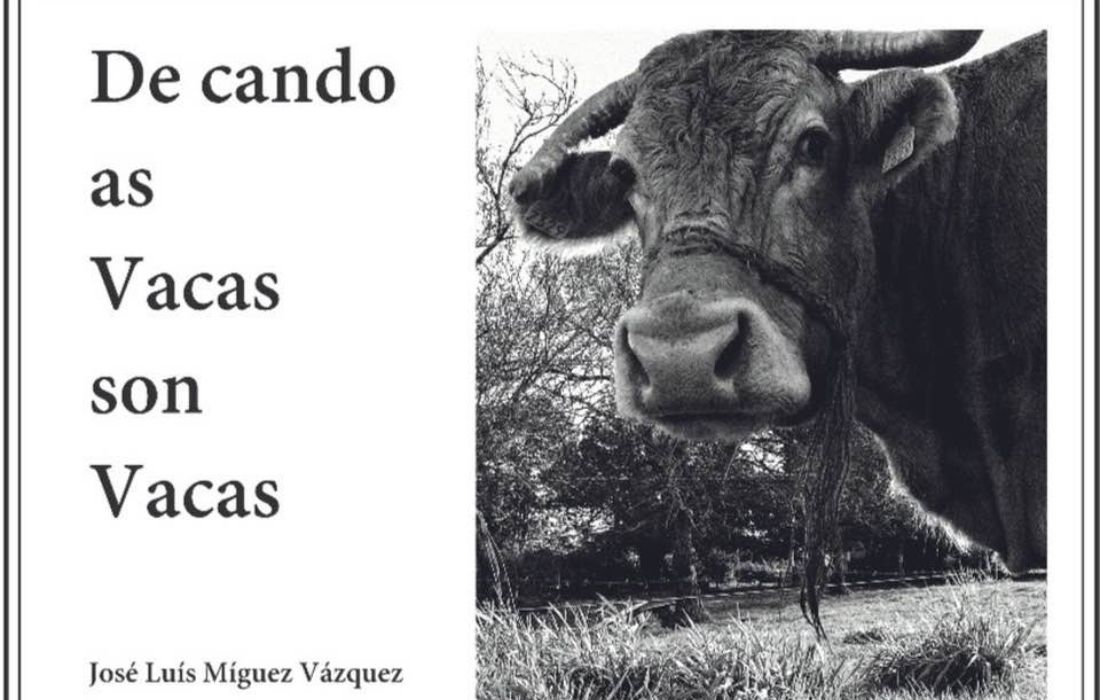 CURTIS vacas son vacas