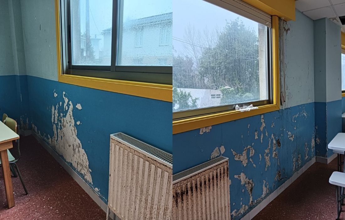 OLEIROS humidades cole