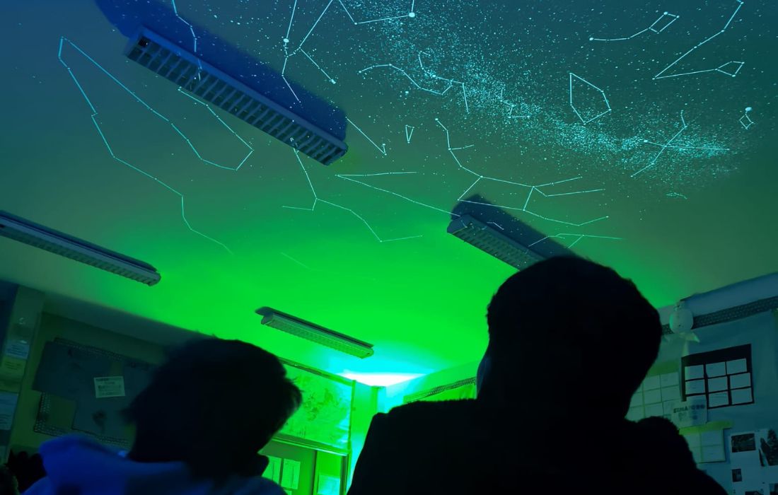 OZA-CESURAS starling