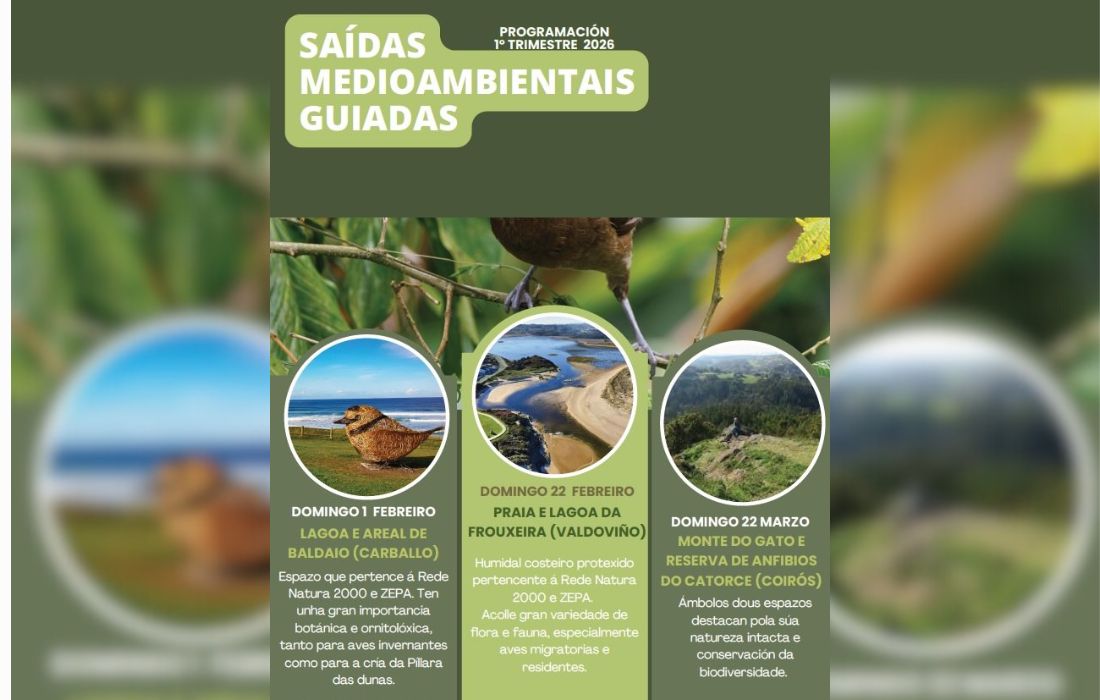 SADA saidas medioambientais