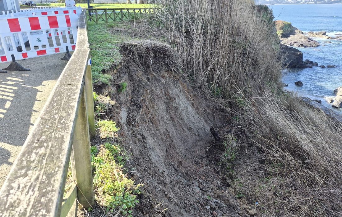 OLEIROS desprendimiento