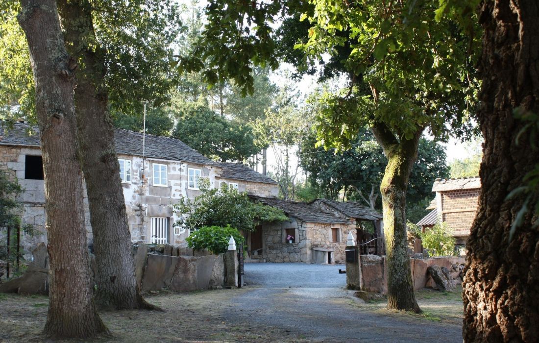 OLEIROS viaxe terra cha