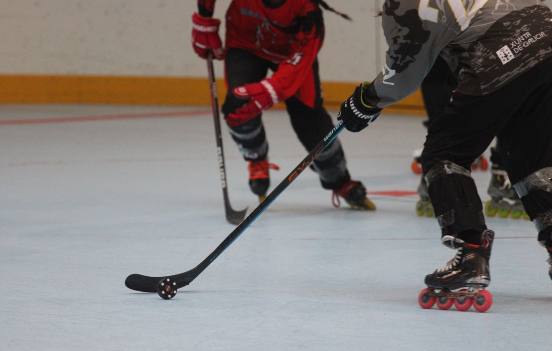 hockey-xenérica