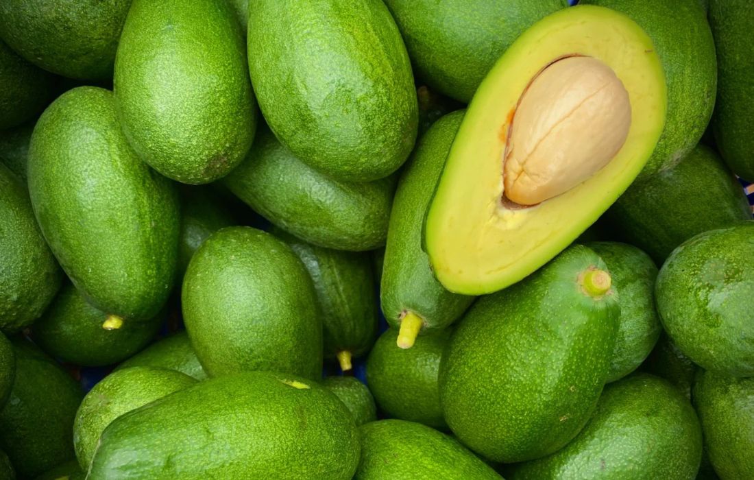 Aguacate xenérica