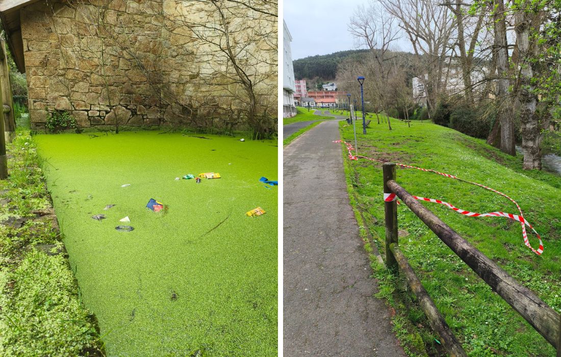 CULLEREDO rego de trabe