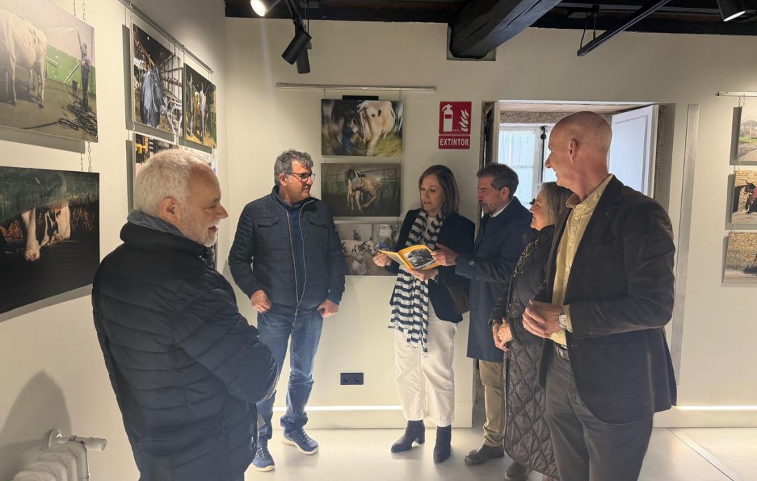 CURTIS peche son de vacas