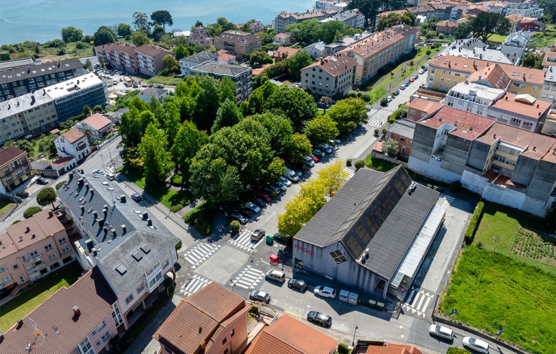 OLEIROS mercado perillo