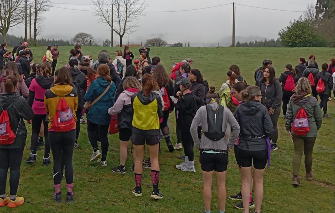 OZA-CESURAS andaina 8m 2026