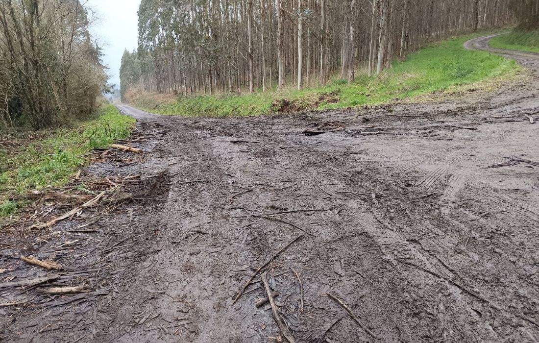 OZA-CESURAS carretera maderistas
