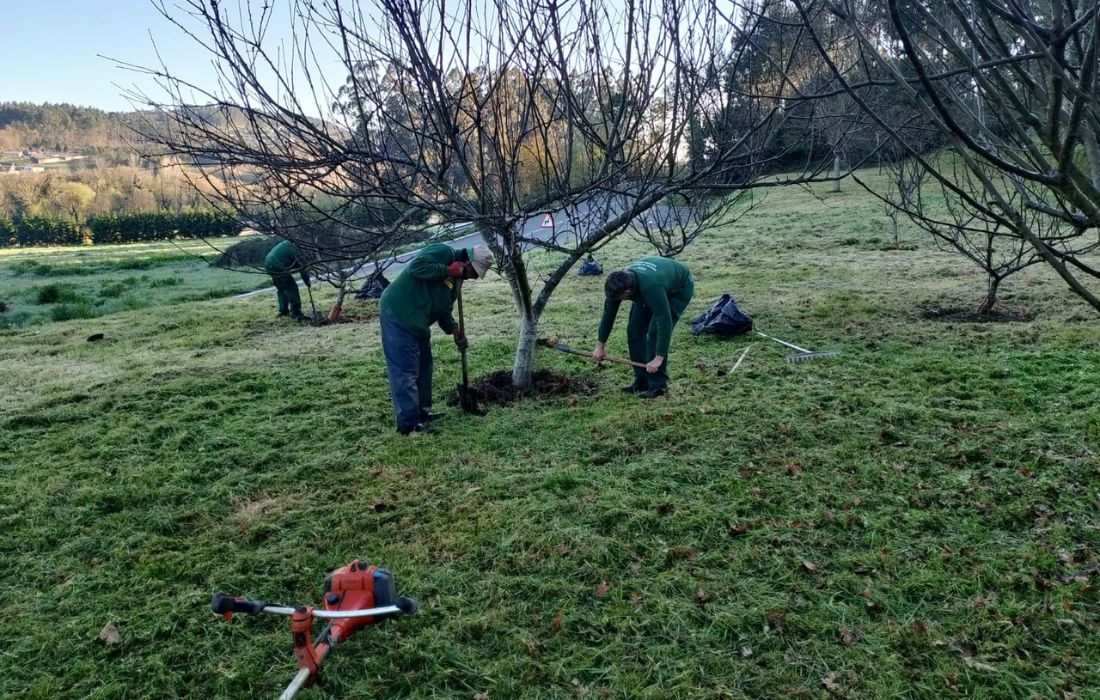 ABEGONDO Obradoiro emprego